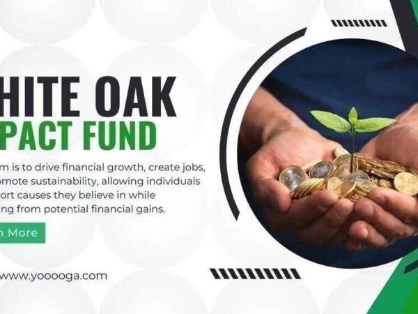 Understanding the White Oak Impact Fund