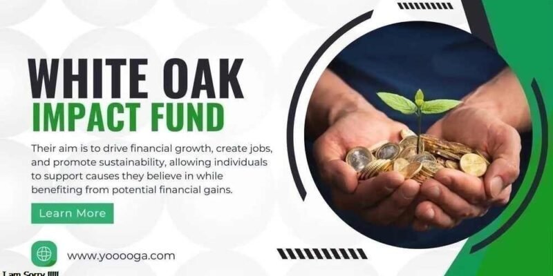 Understanding the White Oak Impact Fund